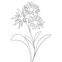 Conscience Écologique